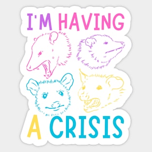 I'm Having A Crisis Possum Meme Sticker